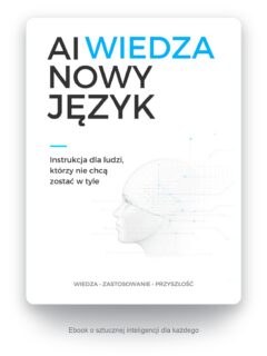 E-book (PDF)